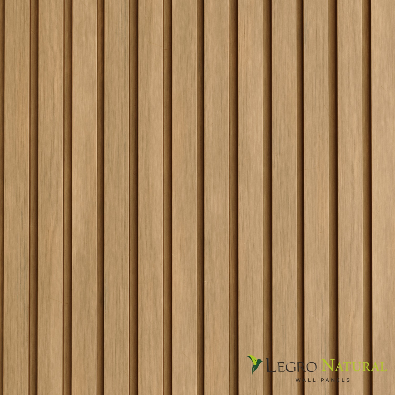 Perfil de la fachada Legro Golden Maple (FS 15)