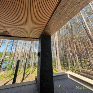 Opciones de uso del perfil de fachada Legro Wall Panels. Techo de tablas de fachada Legro.